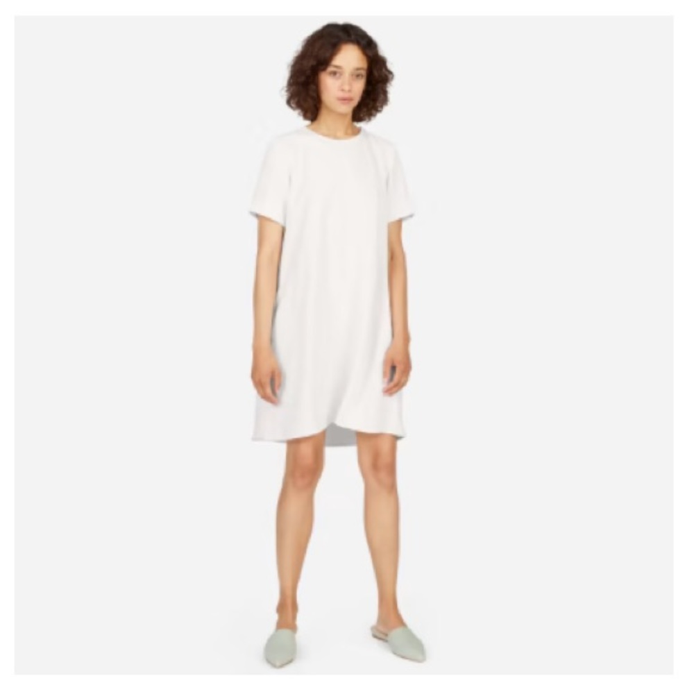 Everlane Japanese GoWeave Short Sleeve A-Line Dress